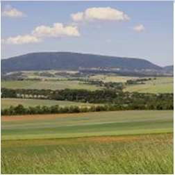 Weingut Martinspforte